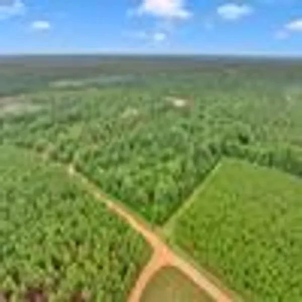 4.88 acre parcel in Warwick GA aerial property view