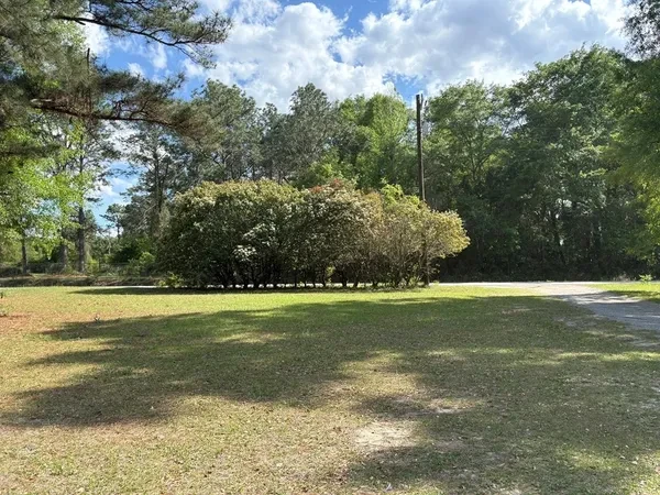 Aerial view of pine tree land parcels on Old Dawson Road